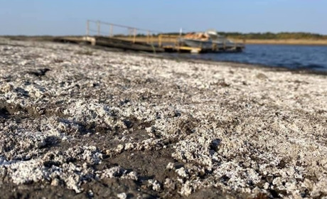 Води у Краснопавлівському водосховищі залишилось до грудня