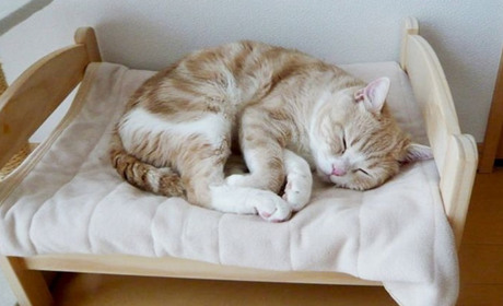 Що буде, якщо не висипатися