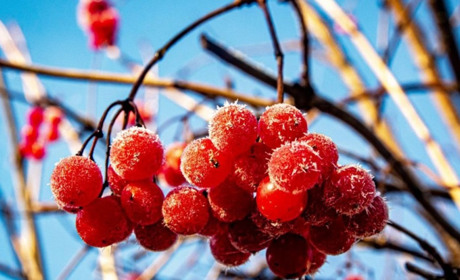 Морози до -10 та дощі зі снігом: прогноз погоди на тиждень