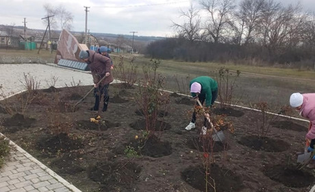 Учасники толоки готують троянди до зимівлі на квітнику біля пам'ятника загиблим воїнам