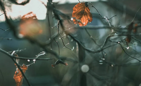 Погода в Старокостянтинові на 15 - 21 листопада: насувається похолодання