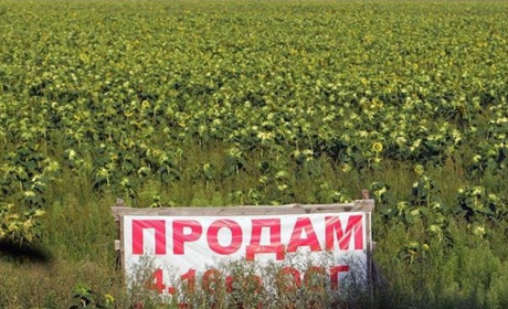На Корюківщині є люди, які продали свої земельні паї. Чи хотіли б і ви продати та за скільки