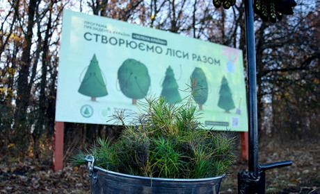 187 тисяч нових дерев: Конотоп долучився до Всеукраїнської висадки лісів