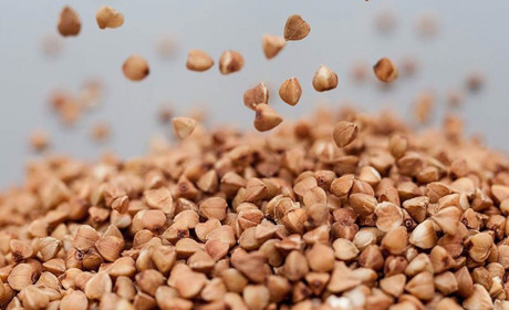 Субсидії аграріям за гречку: на Полтавщині 21 господарство подали заявки на виплату