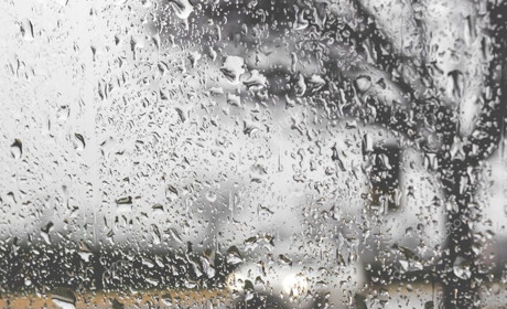 Погода в Кагарлику та Ржищеві на тиждень - з 29 листопада по 5 грудня