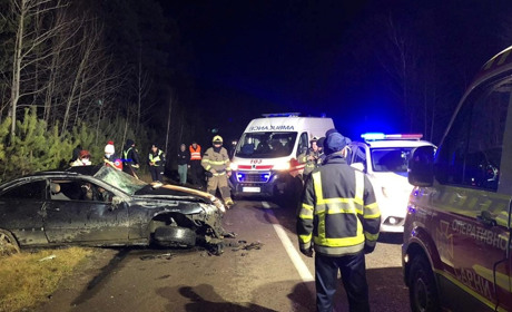 На Сарненщині Skoda та Mercedes збили лося: водії не постраждали