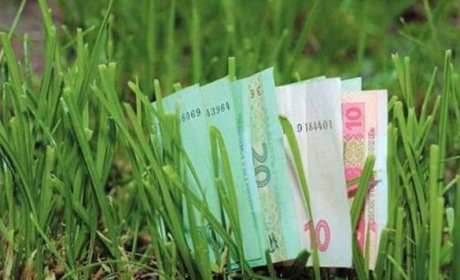 Гадячани, які мають земельні паї, можуть заплатити податок мінімум в 1,5 тис. грн з гектара