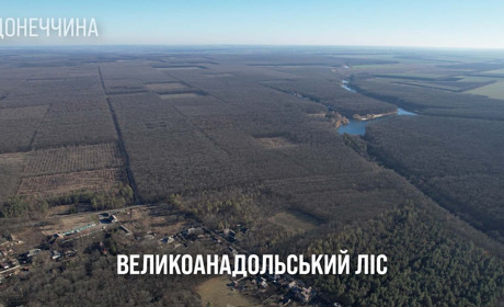Ольгинська громада: про проблеми найбільшого рукотворного лісу Європи, Великоанадольського заказника