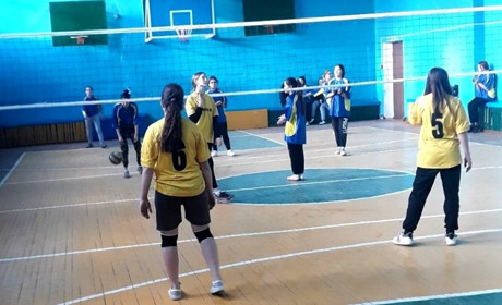 У Нижніх Сірогозах пройшли змагання з волейболу: 4 збірних дівочих команди боролися за першість