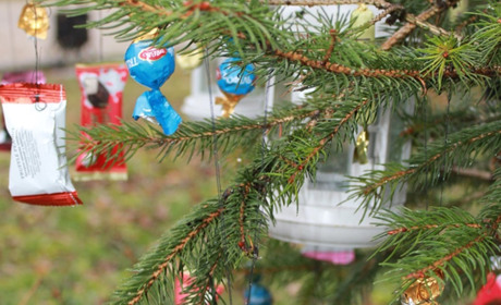 У замку князів Острозьких дерева розцвіли цукерками