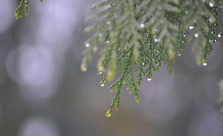 Якою буде погода на Кагарличчині та Ржищівщині 4 і 5 грудня