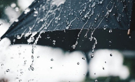 Дощі та плюсова температура: якою буде погода на Гадяччині протягом тижня