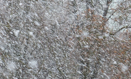 Погода в Старокостянтинові на 6-12 грудня: мряка, мороз, вітер, туман створять дискомфорт