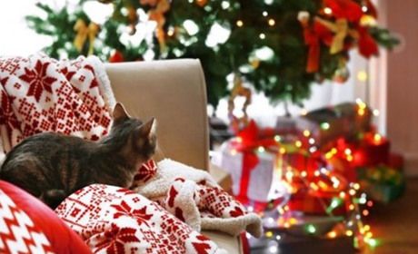 Будемо відпочивати тричі по три дні: вихідні на два Різдва і Новий 2022 рік