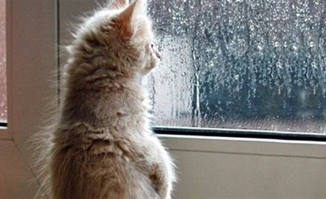 "Дощ чи мороз?": синоптики розповіли, якою буде погода на Новий Рік