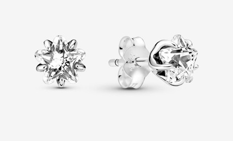 Сережки из серебра разной тематики