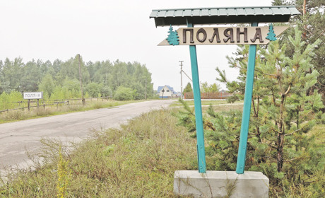 Про врожай, вигоду від корів, смачний мед: жителі Поляни розкривають секрети працелюбності