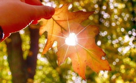 Осінь сірогозька: температурні максимуми і мінімуми, погодні аномалії