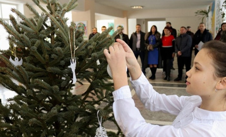 Всі ліцеї, гімназії, садочки Калуської громади отримали ялинки в горщиках