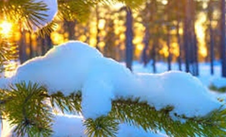 Сніг, ожеледиця та похолодання до -12: прогноз погоди на тиждень