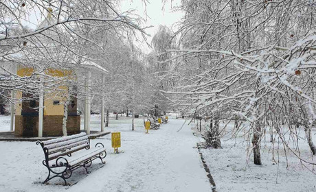 Хто став переможницями фотоконкурсу жінок-лідерок Троїцької громади в 2021 році
