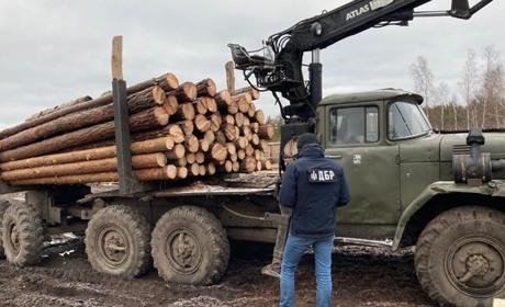 На Сарненщині лісничий незаконно торгував лісом