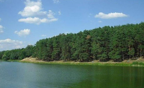 Межі РЛП "Ялівщина" визначені та внесені в Державний земельний кадастр