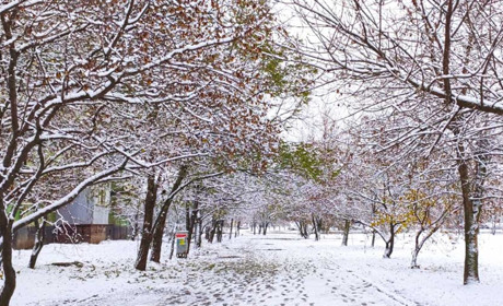 Погода в Кагарлику та Ржищеві на тиждень - з 27 грудня по 2 січня