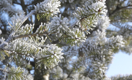 Погода в Старокостянтинові на 27 грудня - 2 січня: якою буде новорічна ніч