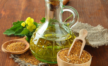 Горчичное масло: польза, противопоказания, способы применения