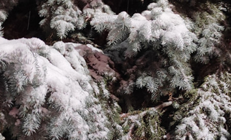 Православний церковний календар та календар свят на січень 2022