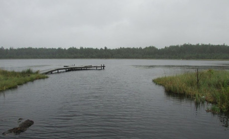 У Сарненському районі створили національний парк