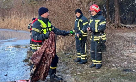 Рибалки провалилися під лід та ледь не потонули