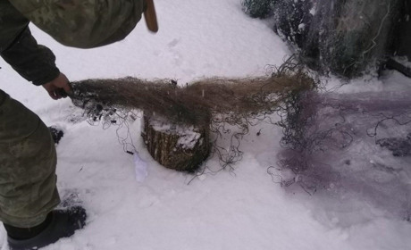 Знищеними на Чернігівщині сітками браконьєрів можна застелити дорогу між Корюківкою та Сновськом