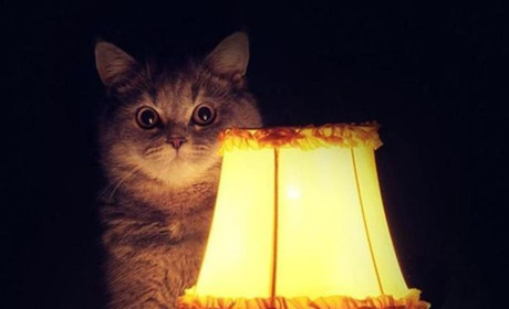 Де планово вимикатимуть електроенергію 12-13 січня у зв’язку з ремонтними роботами