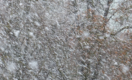 Погода в Старокостянтинові на 17-23 січня: буде морозно та вітряно