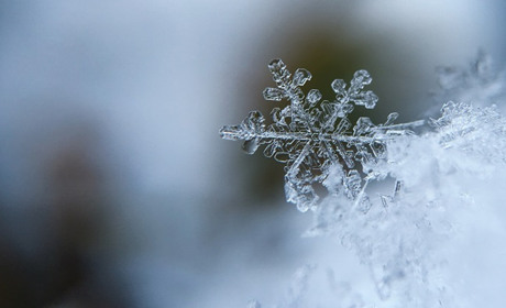 Погода в Кагарлику та Ржищеві на тиждень - з 24 по 30 січня