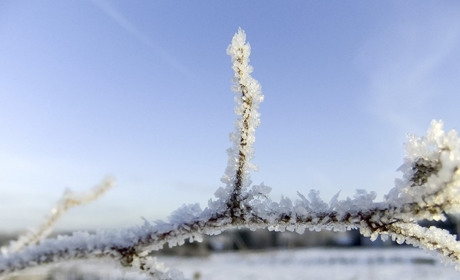 Погода в Старокостянтинові на 24-30 січня: мороз і відлигу прогнозують синоптики