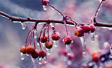 Якою буде погода на Кагарличчині та Ржищівщині 29 і 30 січня