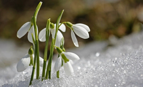 Свята та вихідні в березні: коли та скільки будемо відпочивати
