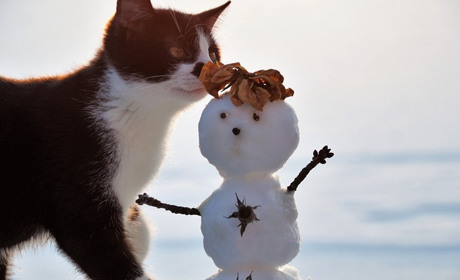 Перезимуємо? Чого чекати українцям в лютому