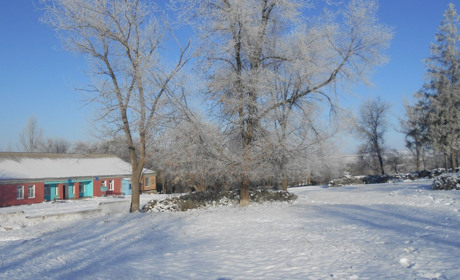 Короткі новини з села Арапівка