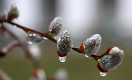 Якою буде погода на Кагарличчині та Ржищівщині 5 і 6 лютого