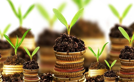 Лісівники Полтавщини сплатили майже 210 мільйонів гривень податків та зборів за 2021 рік