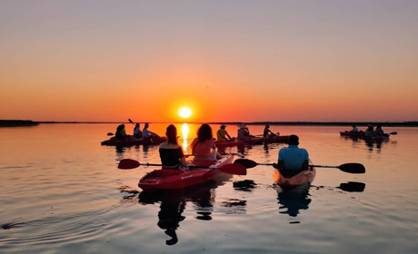 Сиваш - уникальная экосистема озёр и островов