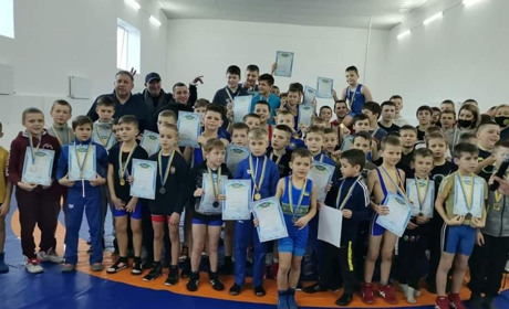 Більша половина всіх медалей — у конотопців: результати обласного турніру з греко-римської боротьби