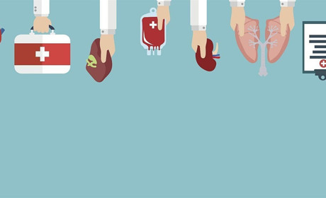 Трансплантація від «А» до «Я»: правда і міфи про пересадження органів