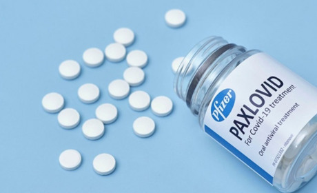 Препарат від коронавірусу «Паксловід» допущений до екстреного медичного застосування в Україні