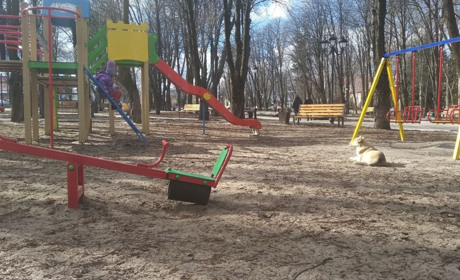 У центрі Волновахи собаки кидаються на перехожих: відео