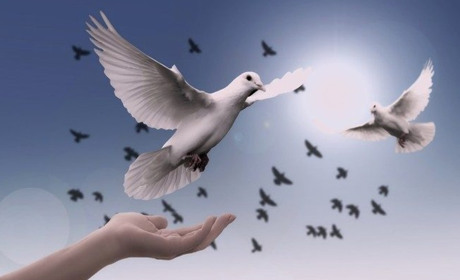 Російсько-українська війна: день другий. Корюківка не панікує